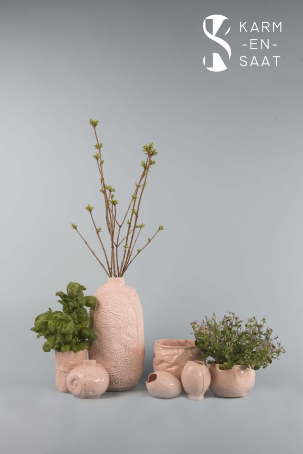 Watermelon - Image 6