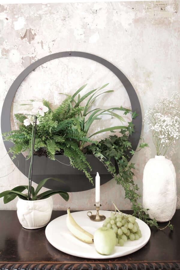 Placement Tray. Round - Image 2