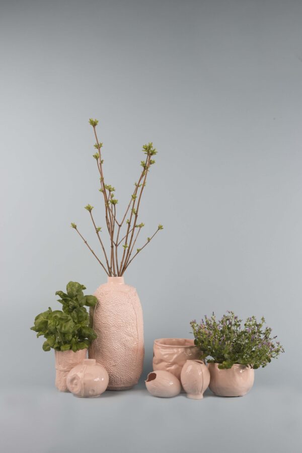 Melon - Image 4