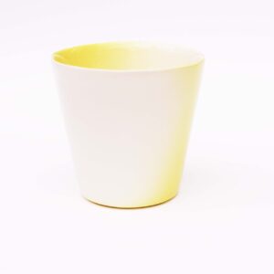 ShadowWare Cup