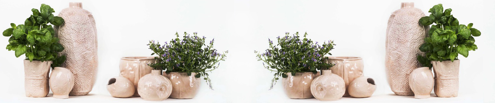 Rotten Beauty image by Karm en Saat